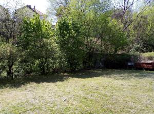 Apartman Miljkovic