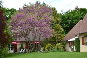 B&B / Chambres d'hotes Le Clos Fleuri : photos des chambres