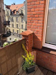 Apartamenty Lazurowy i Słoneczny