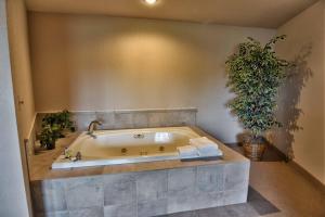 Unit 312 1 Bd 1 Ba Condo Condo