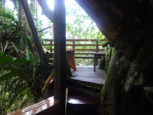 Topos Tree House