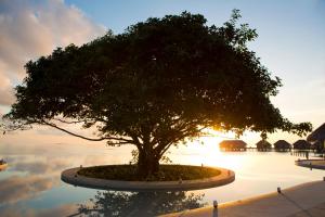 Mudhdhoo Island, Baa Atoll, Maldives.