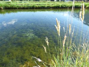 Wieselmühle Forellenhof