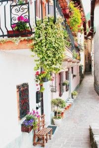 La Finestra sul Lago