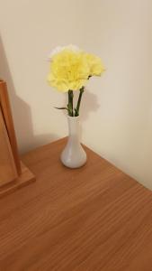 Nant Apartment - Ground Floor