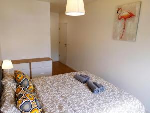 Lisbon central apartment in Entrecampos