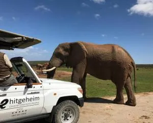 Hitgeheim Country Lodge - أدو