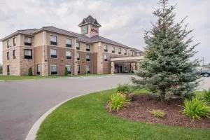 Quality Inn & Suites - Davangus