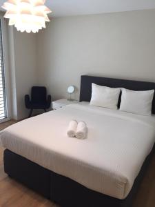 Viesu māja Zurich Apartments Airport Klotene Šveice