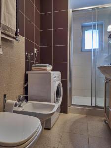 APARTMAN BRODIŠČE