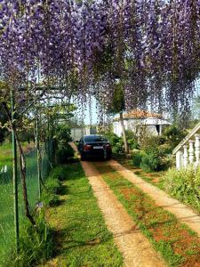 Studio Apartman Vortex