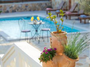 Holiday home Iva with pool