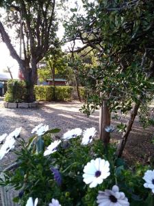 Camping Village Bocca di Cecina
