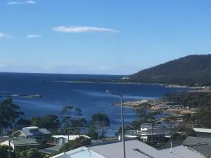 Bicheno Bell - Bicheno