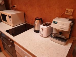 Apartment Bregalnitsa