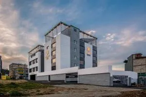 Brown Dot Gijang Yeonhwari - Tŏkkye-ri