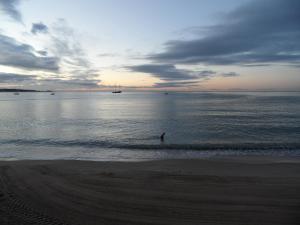 Appartements Grand Studio neuf face port et plage, parking prive : photos des chambres