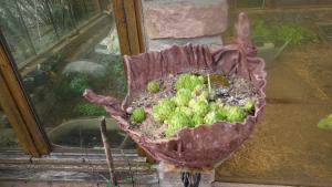 B&B / Chambres d'hotes Le jardin des secrets : photos des chambres