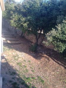 Apartement Alba Oletta
