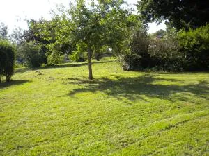 Appartement à l'ange - Lobsann