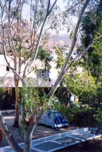 Purple Pig Stars Camping & Bungalows Ios Greece