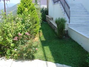 Lunali Verga Kalamata