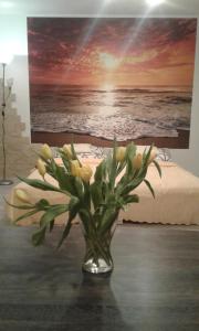 Pokoje do Wynajęcia - Sen na Mazurach