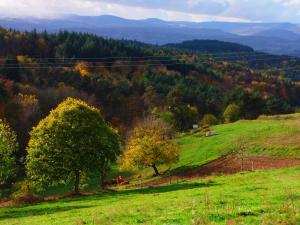 B&B / Chambres d'hotes Le Vallon d'Armandine, gite ecologique Auvergne : photos des chambres