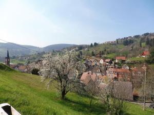 Chalets Le Chalet du Tanet spa sauna terrasse en Alsace : photos des chambres