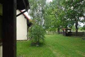 Bursztynowe Łąki