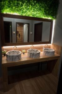 Comfy Bed Hostel