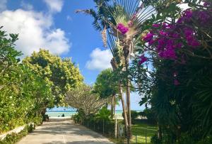 White House Near The Beach