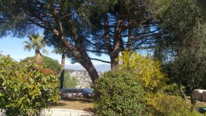Maisons de vacances Haus mit Garten uber der Bucht von Cannes : photos des chambres