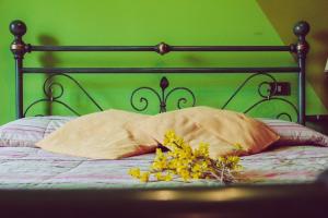 SAN COSTANZO APPARTAMENTI VACANZE