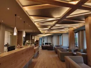 Hotel Ambassador - 莱维科特尔梅