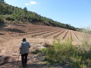 Appartements COSTEBELLE Appartement entier : photos des chambres