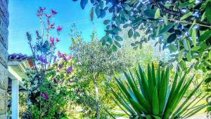 Casa Vale do Rio Ovil