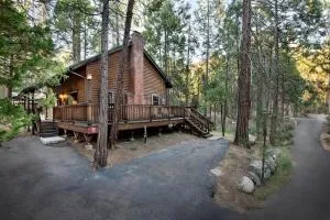 34 Grandmas Cabin - North Wawona