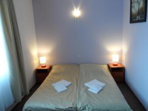 Double or Twin Room room in Hotelik Gold