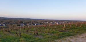 Clos sainte catherine
