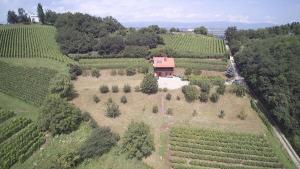 Ferienhaus Vila Home Zlatni Lug Požega Kroatien