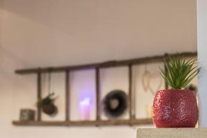 Maisons de vacances NiD'Amour le Rossignol : photos des chambres