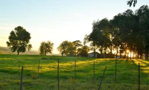 Inversanda Farm Cottages