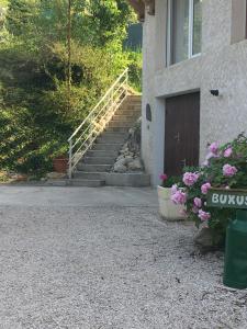 Buxus Land photo 21