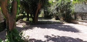 DOMINO HOUSE - Il Casale