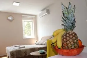 Apartman Studio 2 - Brčko