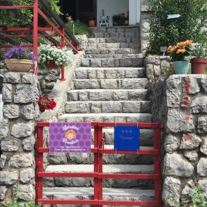 Apartman Cvenkica 