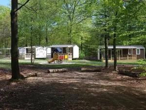 Boscamping Appelscha - Oude Willem