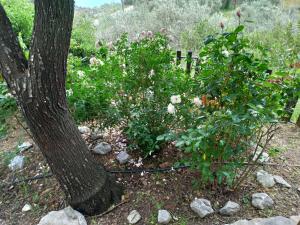 Persefoni house Pelion Greece