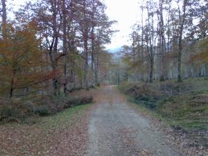 La Casa de Santa Olalla